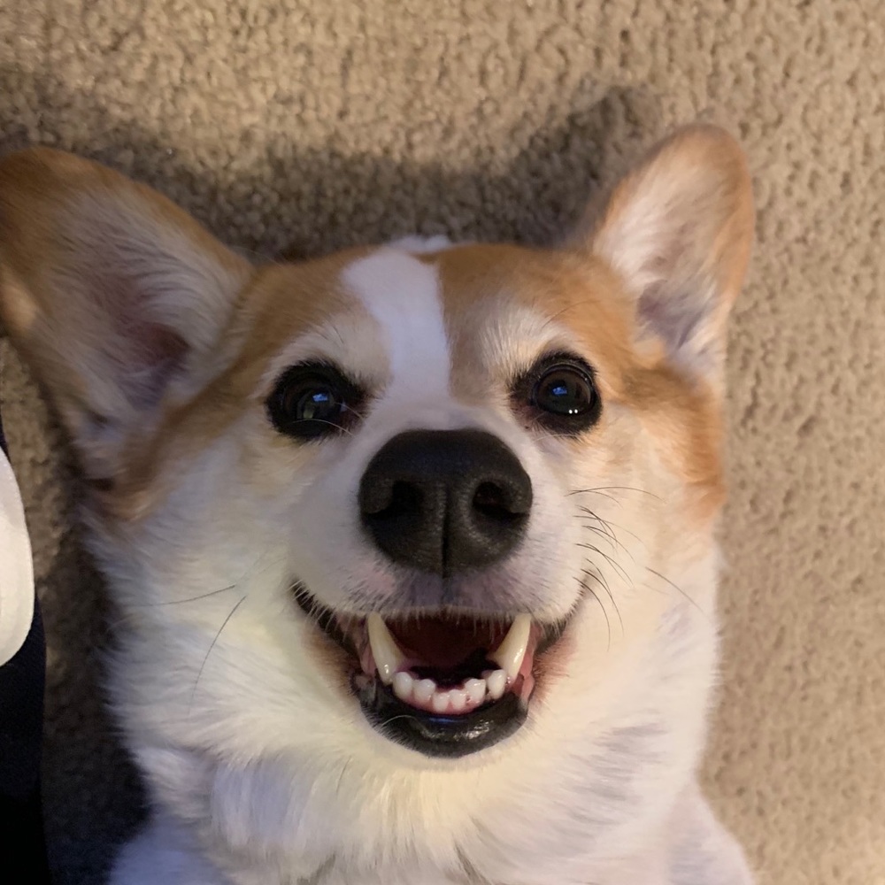 Meet your Posher, Minaminami